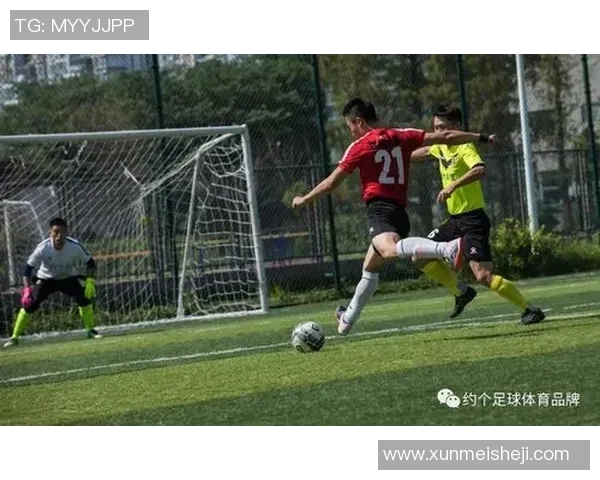 黄磊深度解析足球魅力与技巧分享，带你领略球场背后的故事与心得