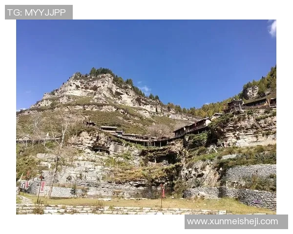 吴伟专访：羽毛球生涯的回顾与展望，追寻梦想的足迹